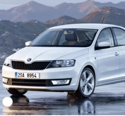 Отзывы на ремонт Ремонт Skoda Rapid 2012-2017